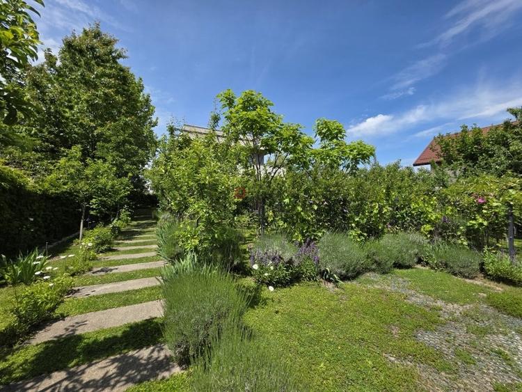 Refugiu Verde in Corbeanca – Vila Premium cu Gradina Matura - 21