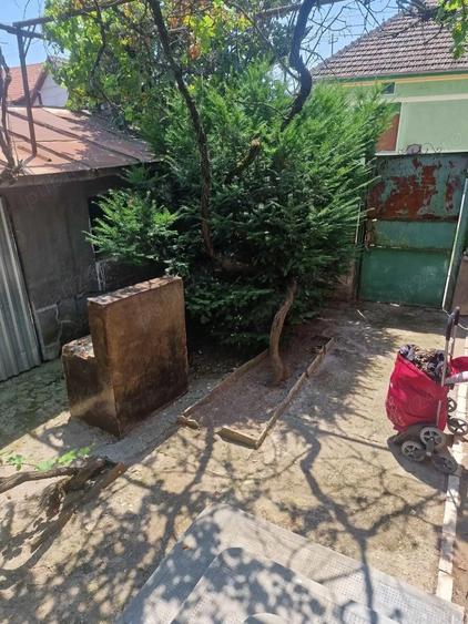 Casa de vanzare aproape de strand termal ?i centru Deta la 45 km de Timisoara - 9