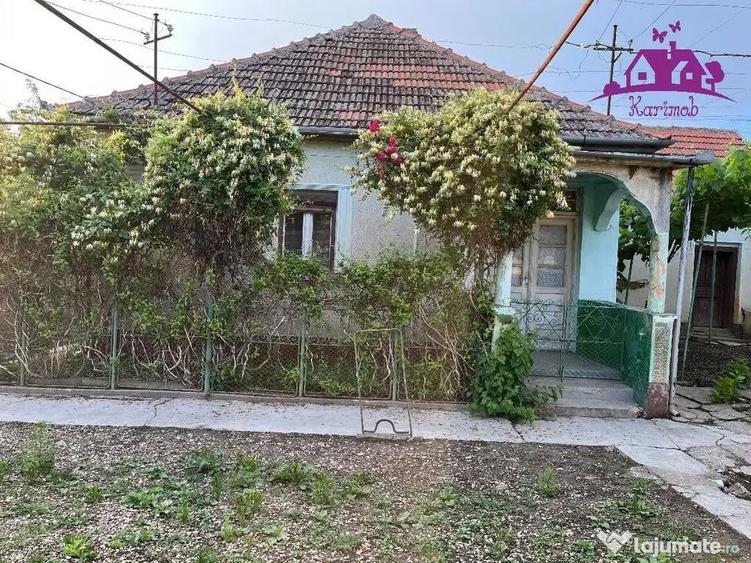 Casa in localitatea Ianosda - 11