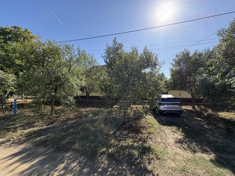 Casa cu teren generos Dude?tii Vechi, 1450 mp, locuibila imediat - 4