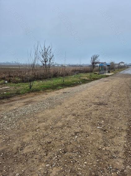 vanzari terenuri - 1