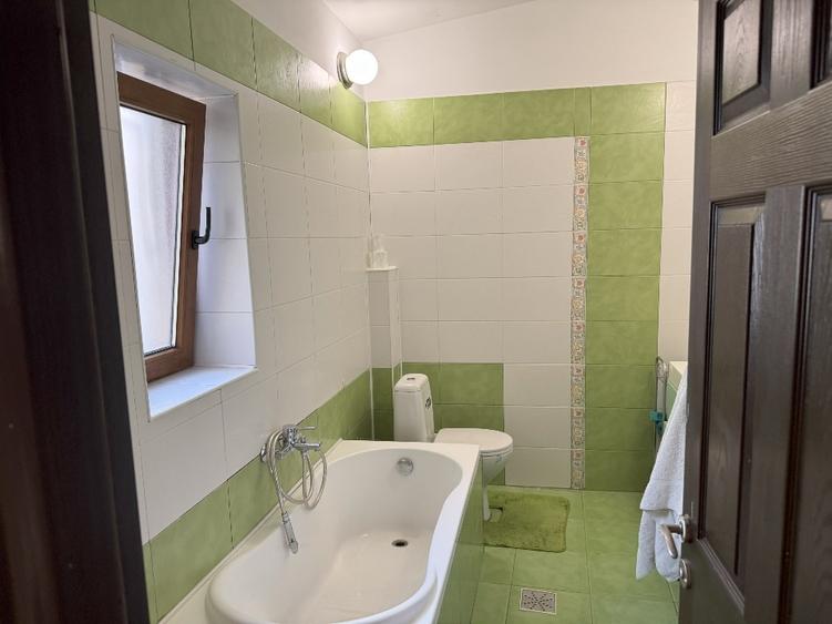 Vand/schimb -Apartament duplex, 109 mp, terasa, magazie , gradina - Tineretului - 8