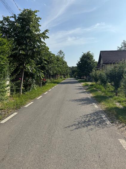 Branesti Calea Bucuresti - 56