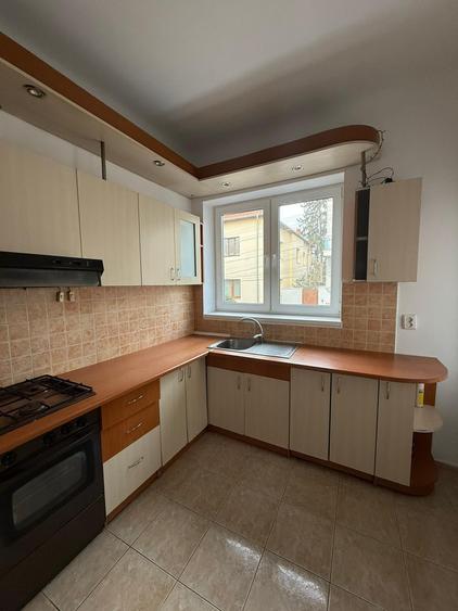 Apartament de închiriat, 2 camere, 58 mp, Central zona Grădina Botanică - 10
