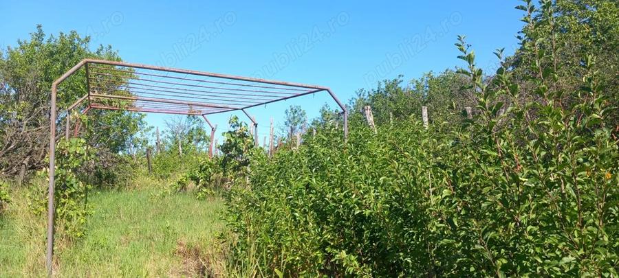 Casa de vanzare 1400mp - 2