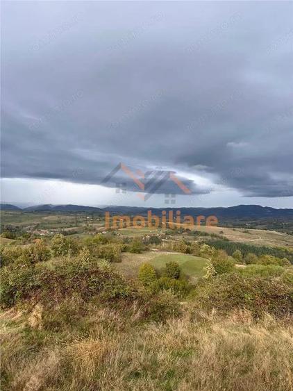 TEREN | 9341 MP | BALNACA GROSI | BIHOR - 10