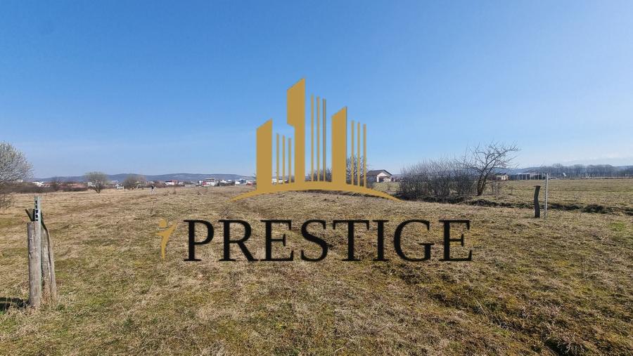 TEREN DE VÂNZARE 1000 MP ȘELIMBĂR ZONA TROIȚĂ | INVESTIȚIE - 3