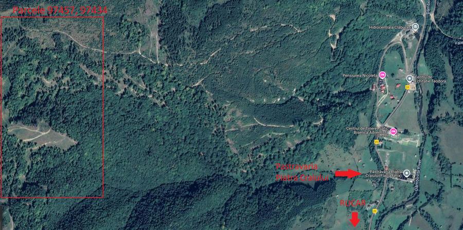 Vand padure 5 ha, Satic, Rucar-Bran - 3