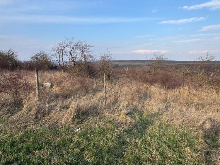 Teren extravilan 3600mp Falticeni/ soseaua DN2 tarlaua la Cioate - 3