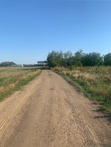 Vanzare  Teren  Balotesti Lahovari  Baza Sportiva Dinamo -Teren Potigrafu - 1