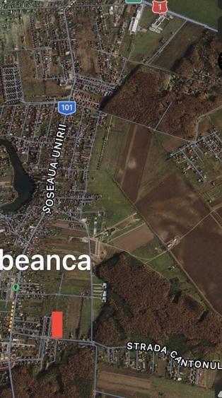 Corbeanca Vanzare teren intravilan stradal - 5