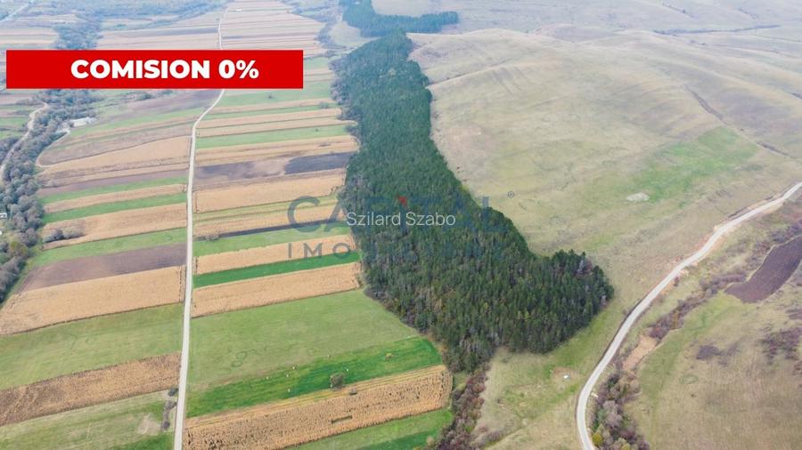 Terenuri de vanzare in Gilau