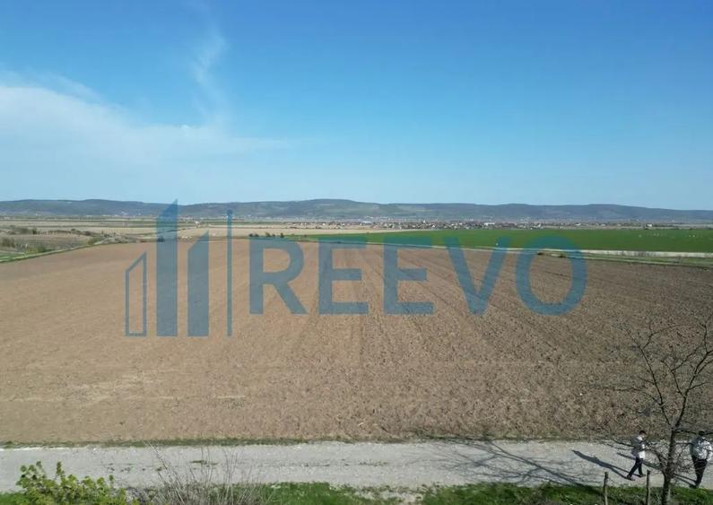 Teren de vanzare, Com. Nicolae Balcescu, Jud. Bacau - 10