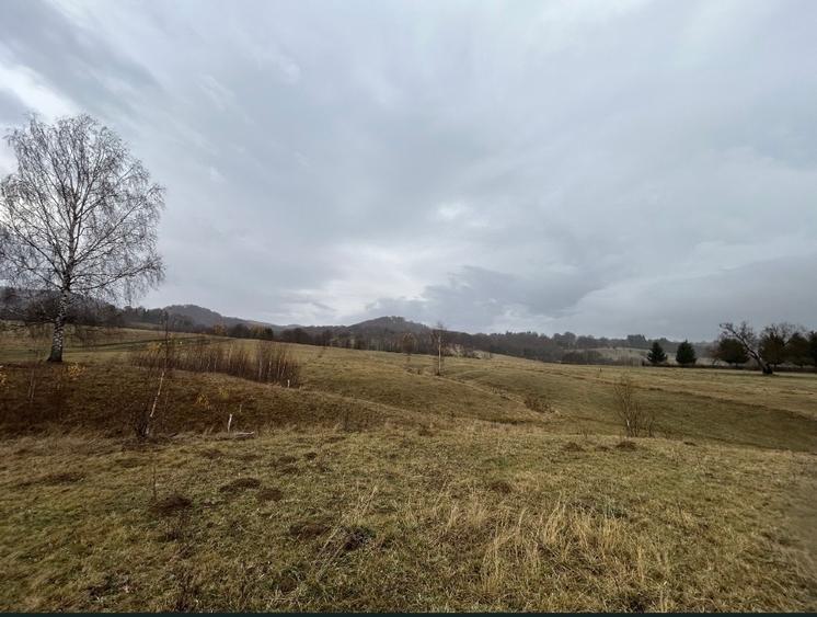 Teren extravilan cu potential intravilan - 8