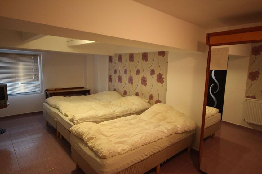 Vila  destinatie camin batrani - 36