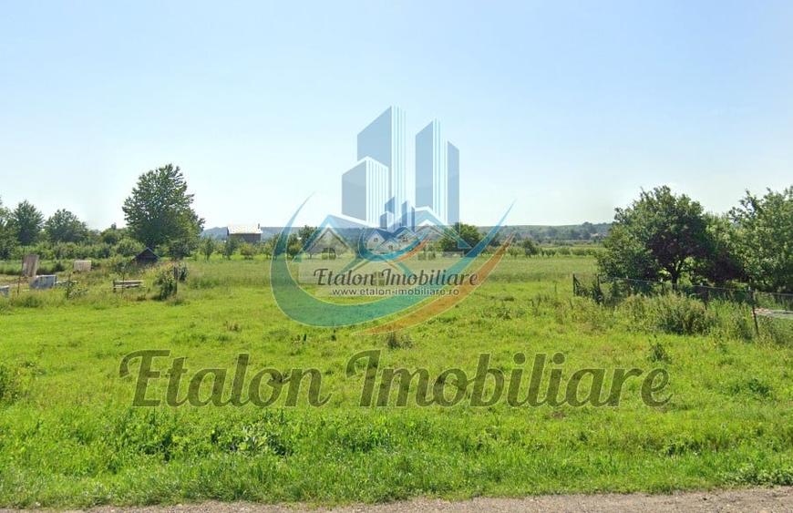 Teren intravilan, 8000mp, Agapia - 1