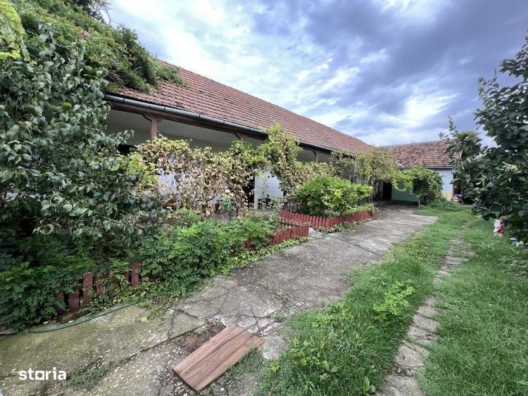Comision 0 - Centru - Sanandrei - Casa renovata + teren 1850 mp - 6