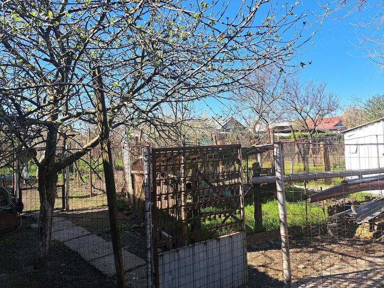 Casa de vanzare sat Urzca Mare, com Urzicuta - 2