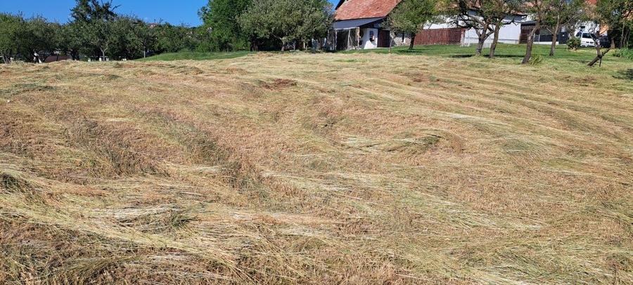 Teren intravilan 2100 mp Feleacu - 2