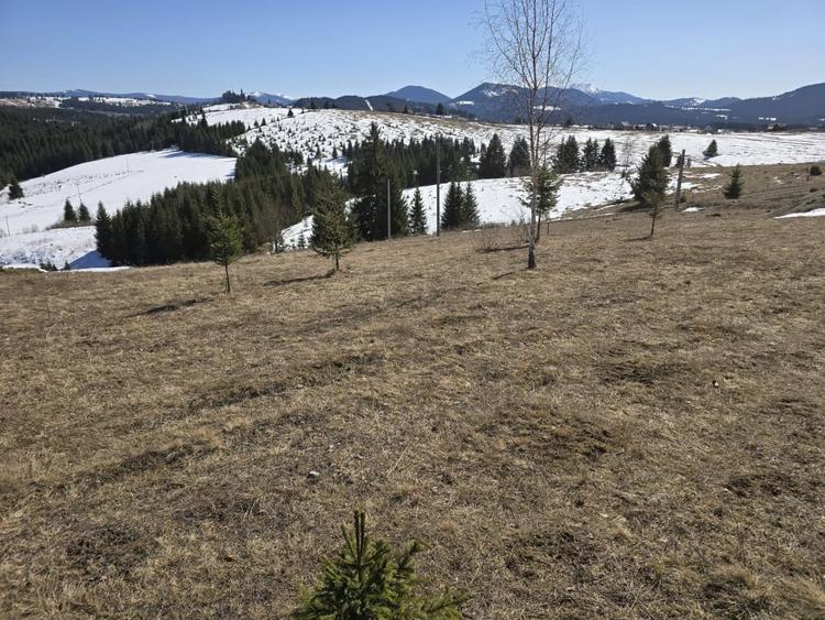 Teren intravilan 1500 mp – Zonă deosebită, Piatra Fântânele - 1