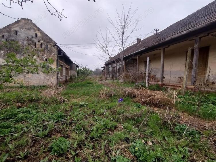 Iecea Mare - Timis, Casa cu Gradina, 1800mp Teren, Pret Negociabil - 12