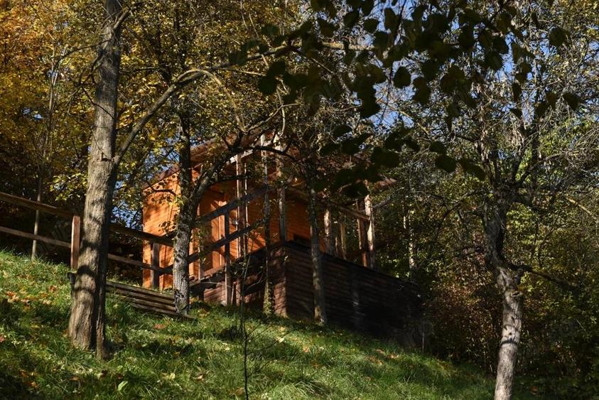 Pensiune boutique, zona Schei - spre Calea Poienii, comision ZERO. - 5