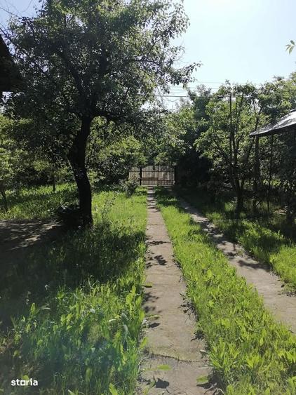 Oaza de liniste in Prahova | casa + anexa + teren |Carbunesti/ - 6