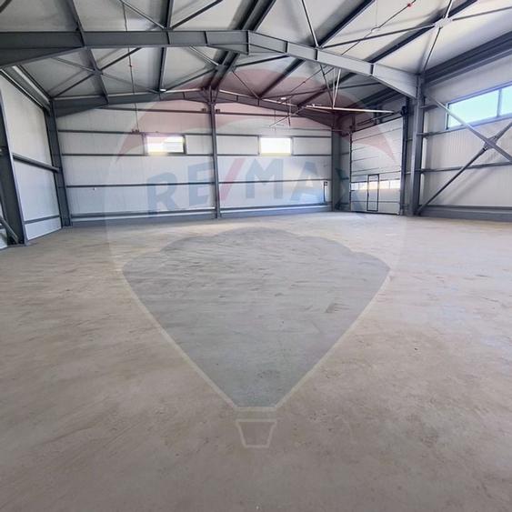 Hale noi de inchiriat Domnesti - putere instalata pana la 600kva - 11