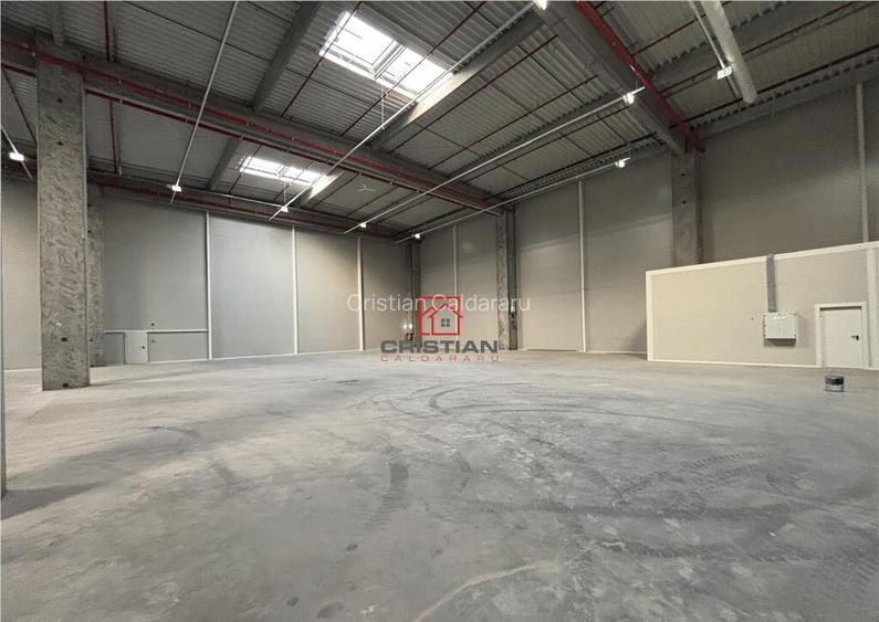 Depozit/hala/spatiu industrial Theodor Pallady - A2