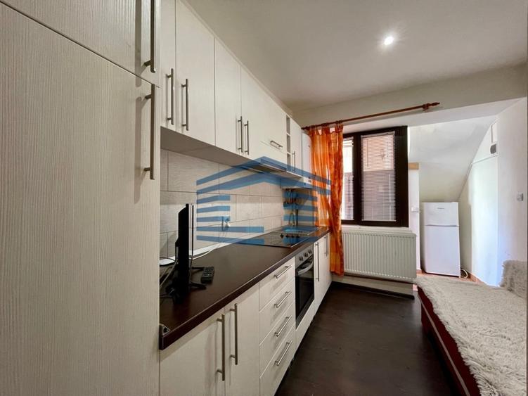 Garsoniera mobilata/utilată -pet friendly - centru istoric- studenti - 8