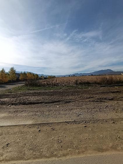 🌳 Teren de vânzare în Comuna Cristian – județul Brașov - 6