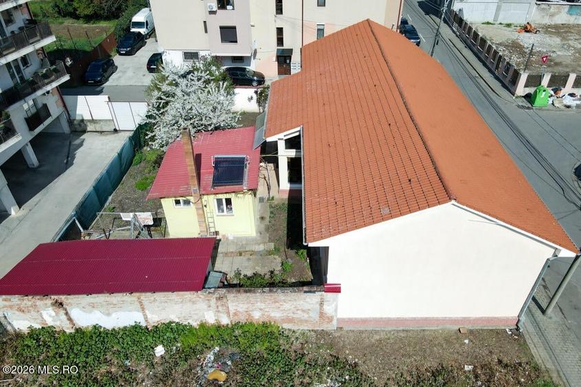 Lunei - Ion Neculce, 2 Apartamente. Mansarda 157 mp. Anexe, Lot 475 mp - 44