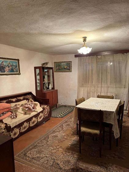 Casa de vanzare Variasu Mare, Arad - 3
