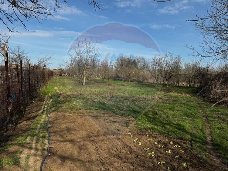 Casa de vanzare cu livada si piscina - Giurgiu - 11