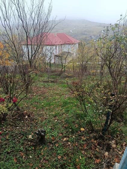 Casa si gradina-Draxeni com.Rebricea jud.Vaslui - 1