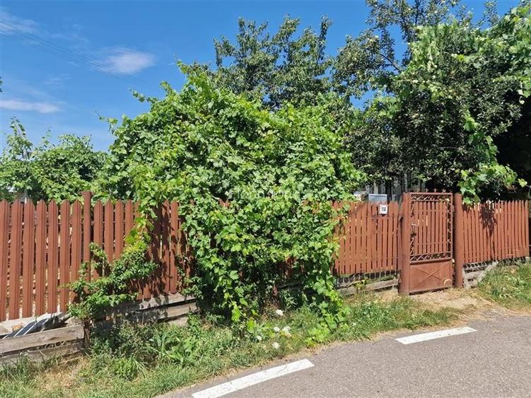 Casă individuală cu 3 camere în Malu Vânăt