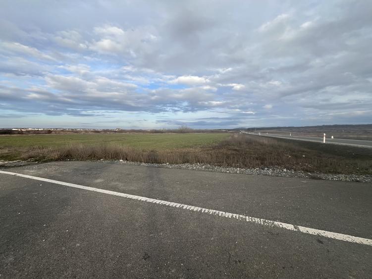 Teren 7481 mp, cu acces facil la Inelul Metropolitan - 5