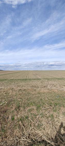 Teren de vanzare in Adancata zona ,,La Canton,,spre Hantesti ,, - 4