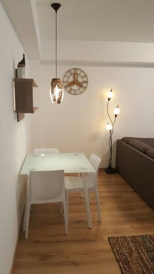 Parcul Carol, Serena Apartaments, proprietar - 3