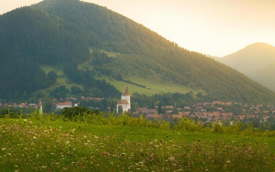 Teren extravilan cu priveliste minunata 3000mp in Rasinari - 2