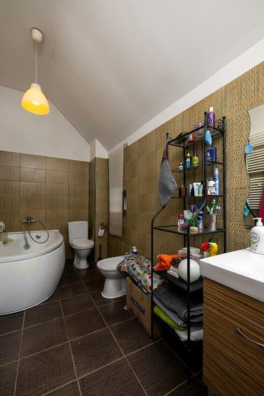 Eroii Revolutiei, center, house for sale, Park Carol - 6