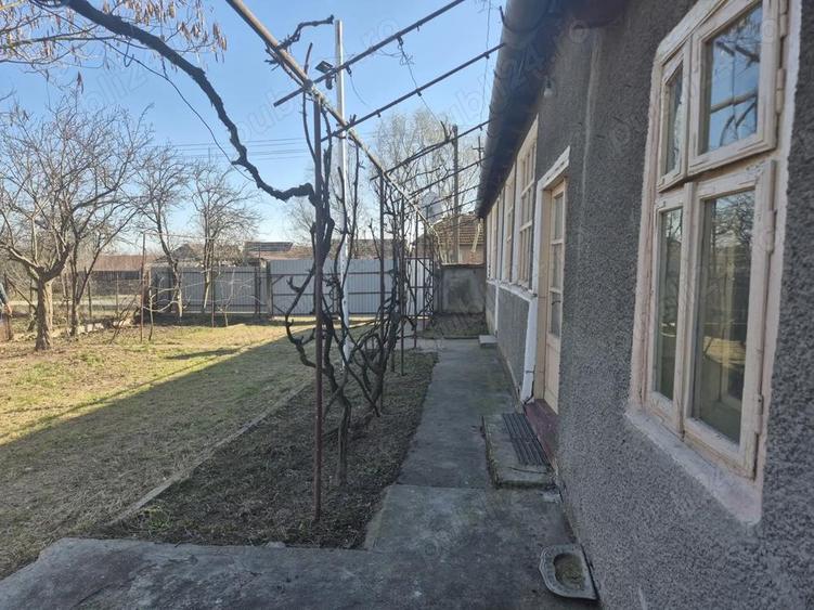 Casă cu 3 camere cu Teren 2880 Mp în Adea