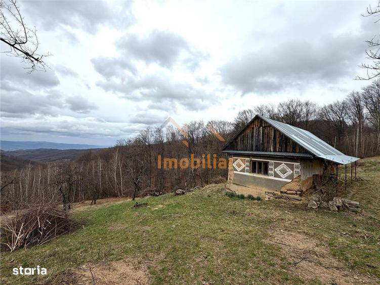 TEREN 34.000 MP | SERANI BIHOR - 1