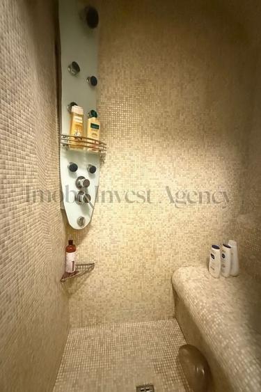 Apartament cu 3 camere de inchiriat in zona Herastrau-Soseaua Nordului - 17