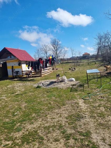 casa de vanzare la topraisar mai multe detali la telefonu - 2