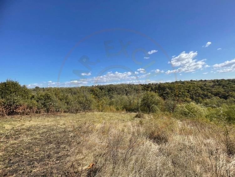 Teren generos Arges Babana - 7