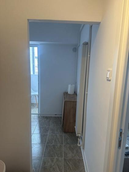 Garsiniera de vanzare sau inchiriere - 4