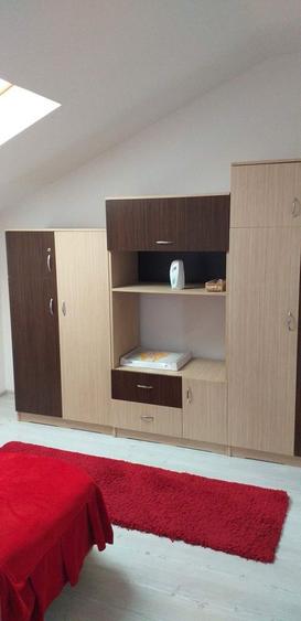 Garsoniera de inchiriat la Mansarda - 3