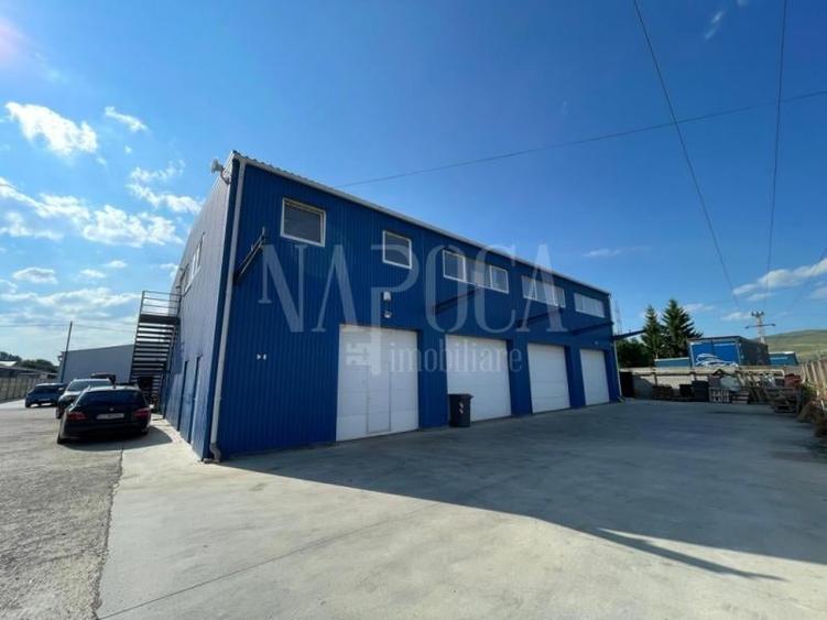 Spatiu industrial de inchiriat in Luna de Sus - 1