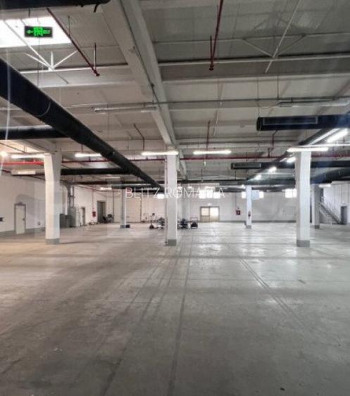 Hala Moderna in LUDUS la 7 km de autostrada, la cheie.